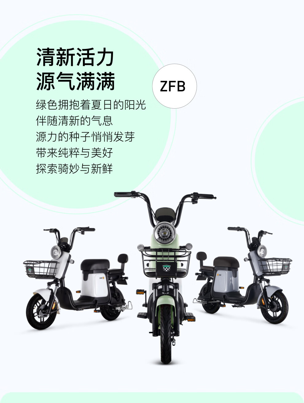 绿源电动车_LUYUAN 绿源 ZFB 电动自行车 TDT2112Z