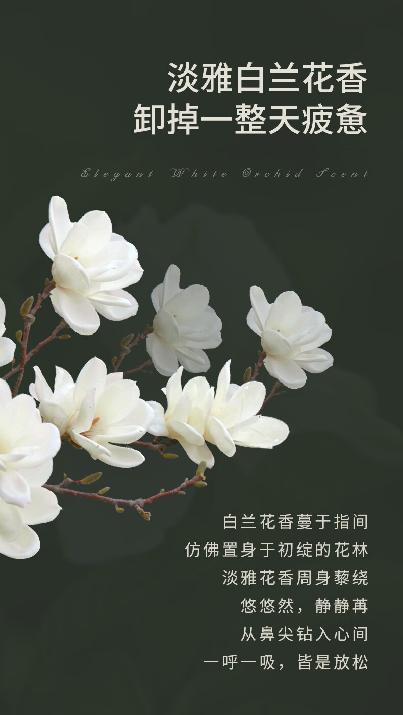 SKISGEM进口卸妆膏瞬间乳化眼唇卸妆深层清洁细致毛孔温和不闷痘敏感肌 温和不闷痘卸妆膏100g