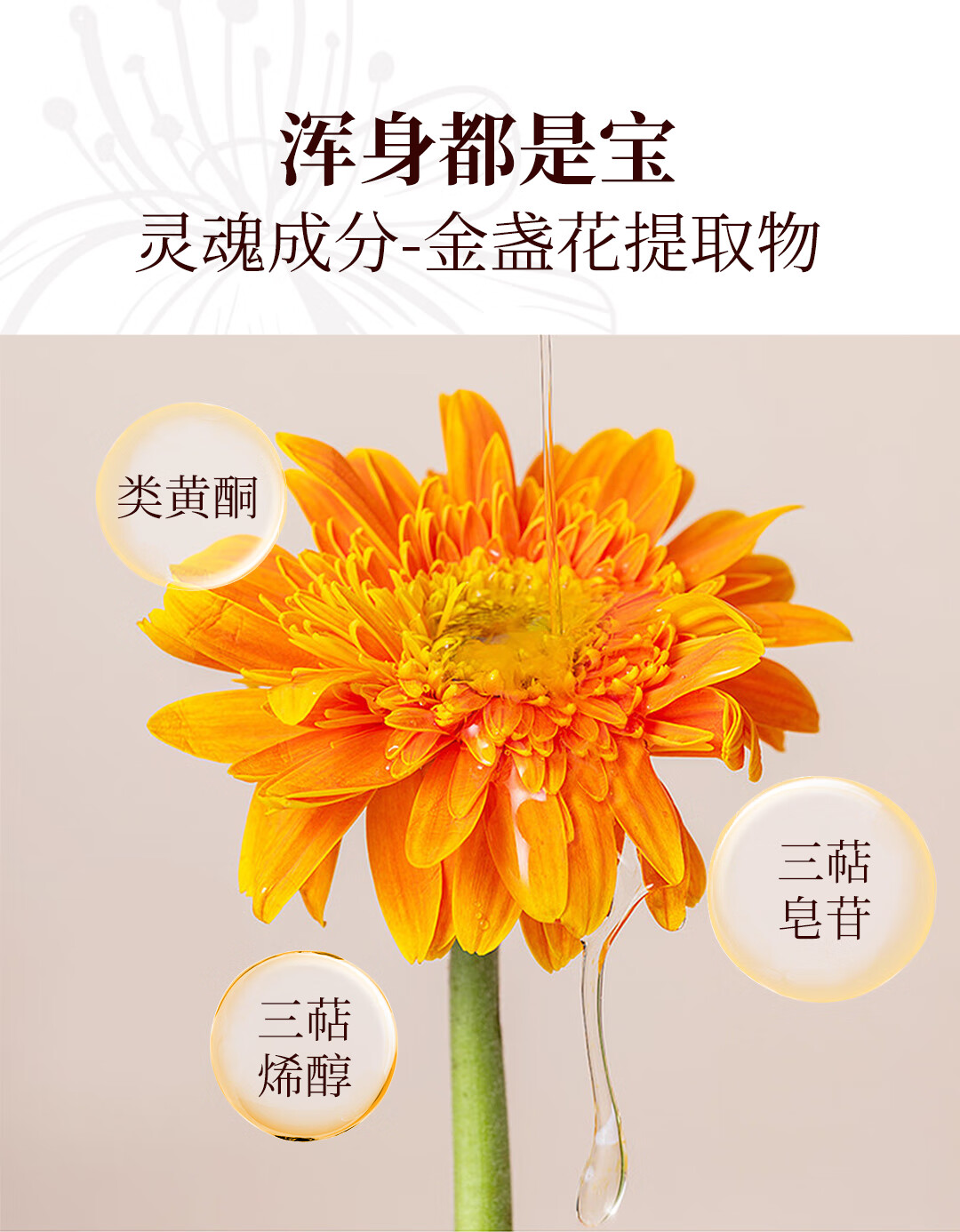 奇姬金盏花沁舒柔肤乳 舒缓泛红肌肤屏障修护滋养清爽保湿乳液 20ml