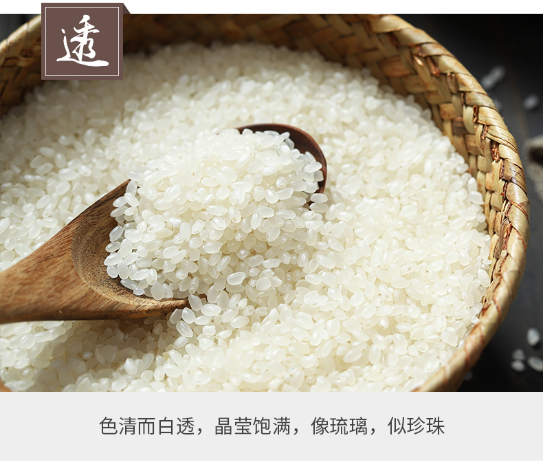 万年贡 雪玉寒野香米  10kg东北大米 黑土寒地香米 圆粒珍珠米