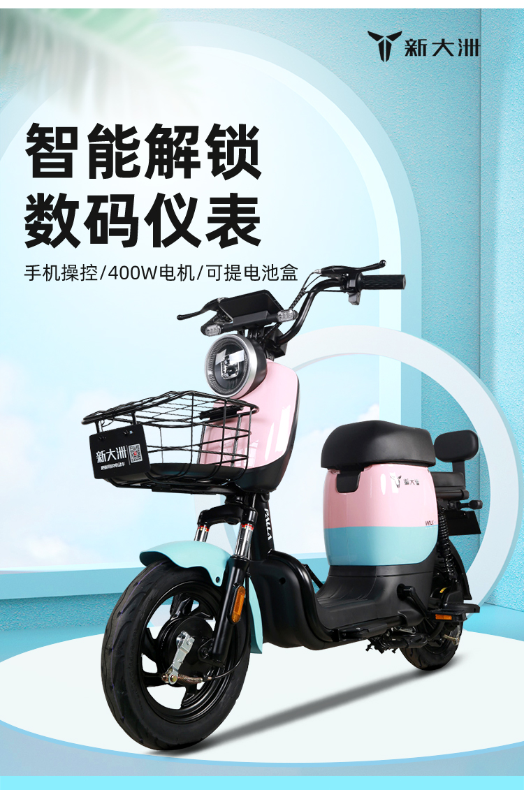 电动车自行车_PALLA 新大洲 K13 新国标电动车