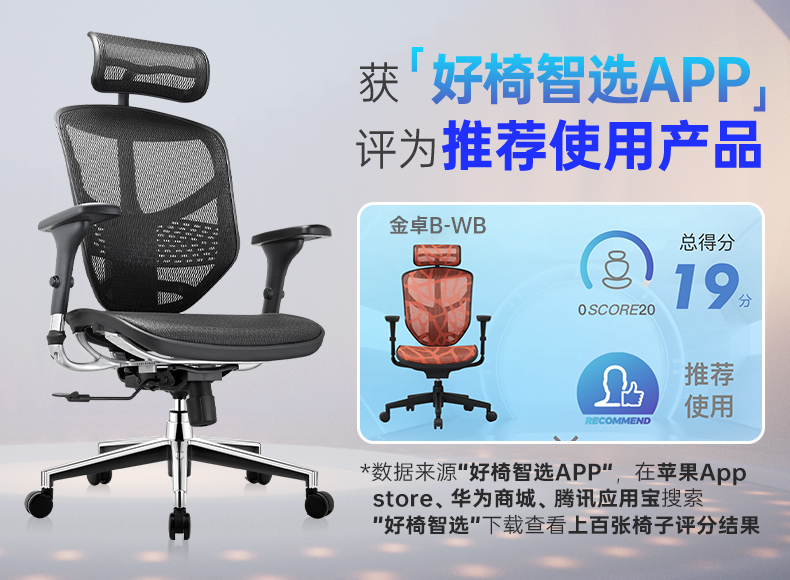 Ergonor 保友金卓b高配版enjoy椅子电脑椅人体工学椅家用电竞椅办公椅子老板椅 黑色（美国网）【店长推荐】 高配版
