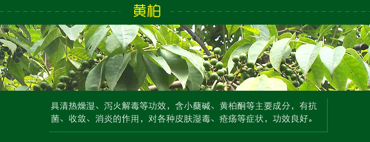 
                                        
                                                            绿驰 植物精华去除甲醛苯除油漆味喷雾剂 除味除臭去烟味分解异味净化剂 非空气清新剂 500ml                