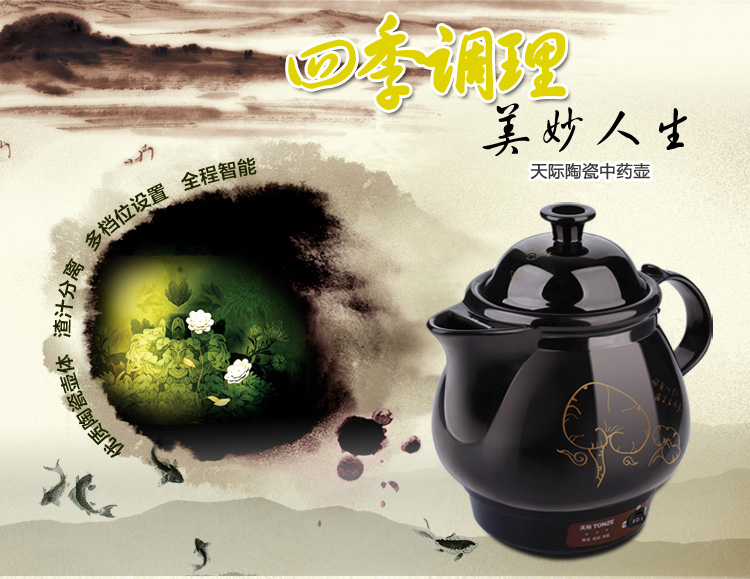 
                                        天际(TONZE)BJH-W200F养生壶煎药壶2L                