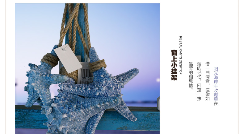 Snnei 阳光海岸丰收海星 创意家居墙饰壁饰 墙上装饰品壁挂
