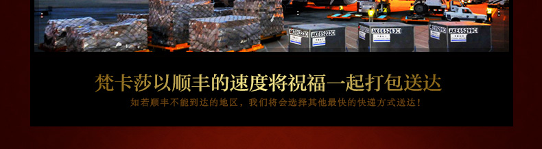 梵卡莎 欧式骨瓷8寸深菜盘汤盘子套装陶瓷餐具4个装波斯集市