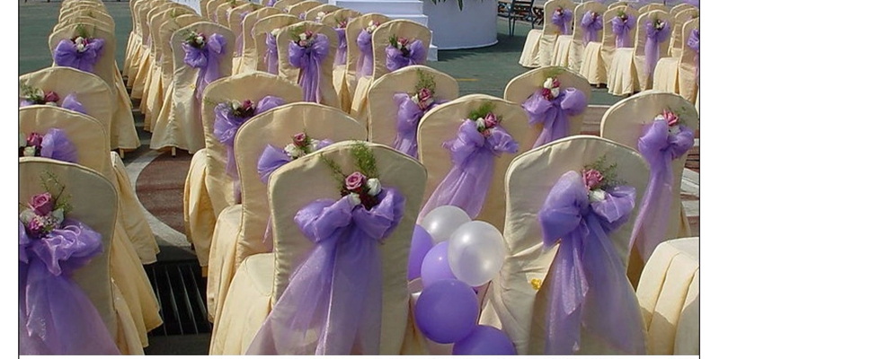 
                                        红番茄 婚庆用品 结婚婚车装饰布景道具纱幔 装饰纱婚房布置10米 粉红色1.5*10米                
