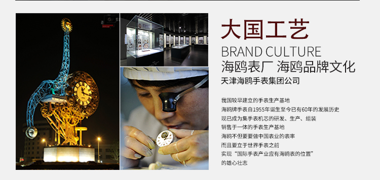 地围大国工艺BRAND CULTURI海鸥表厂海鸥品牌文化天津海鸥手表集团公司我国较早建立的手表生产基地现已成为集手表机芯的研发、生产、组装销售于手表生产基地海鸥不但要要做中国表业的表率而且差立于世界手表之前的雄心壮志-推好价 | 品质生活 精选好价