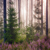 Пользовательские фото обои Silent Forest ручная роспись фоном гостиная лобби обои спальня ресторан ванная комната mural пользовательские 3d росписи обои гостиная комната ванная комната ванная комната ретро украшенные бриллиантами кристаллы