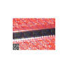 50PCS NCP5901BDR2G 5901B SOP8 ON prorab 5901