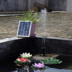 Small Type Landscape Pool Garden Fountains 9V 2W Solar Power Decorative Fountain Water Pump