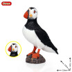 Oenux Original Paradise Birds Flamingos Ara Seagull Pelican Snowy Owl Figurines High Quality PVC Animal Action Figure Child Toy