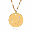 Fashion Constellation Necklace Stainless steel zodiac round disc necklace