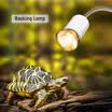 Lámpara de calor halógena de 25 vatios UVA UVB Lámpara calentadora Bombilla de luz para Reptiles Lizard Turtle Aquarium
