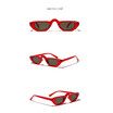 Small square square RETRO SUNGLASSES female European&American bloggers recommend glasses men