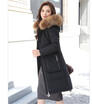 new lady down jacket of 2018 winter dress is a fashionable white duck plucked raccoon fur collar warm winter coat