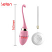 Leten USB Rechargeable Wireless Remote Control Vibrating Egg Multispeed Jump Egg Vibrators Sex Toys for Woman Sex Products