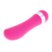 New Super Delicate Waterproof Mini Bullet Vibrator Vibrating Massager Female Sex Toy