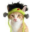 Green Cute Pet Decoración De Halloween Cap Tejidos A Mano Sombreros Para Mascotas Cat Hat Dog Hat Hairband Hair Cap Dog Accesorios Para Perros Pequeño