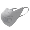 Xiaomi MIJIA Anti-Haze PM25 Mask Gray