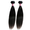 Brazilian Virgin Hair Straight Cheap Queen Hair Products Brazilian Straight Hair 2 Bundles 14 Inch Human Hair 100g Each Bundles