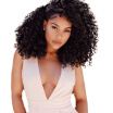 AISI HAIR Kinky Curly Afro Wig 16" Long Wigs for Black Women African American Black Hair