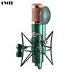 OWN W02 mobile phone sound card set anchor microphone live equipment computer call wheat external sound card condenser microphone set