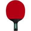 Agnite Table tennis bat