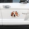 LMA Loma car sticker 3D stickers simulation cracks through the wall stickers Leopard rearview mirror stickers car decoration