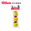 Wilson WRT137001 Training Tennis Low Compression Tennis Wearable Childrens Tennis Starter