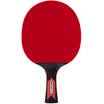 Agnite Samsung fast-break table tennis penhold F2323 double-sided anti-adhesive 3 star single shot