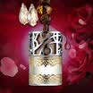 Che Yinmei car perfume clip car air conditioning air outlet perfume clip car decoration car with odor high-grade elegant air mouth perfume oil musk