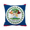 Belize Flag North America Country Square Throw Pillow Insert Cushion Cover Home Sofa Decor Gift