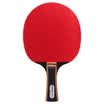 Agnite Samsung fast-break table tennis penhold F2323 double-sided anti-adhesive 3 star single shot