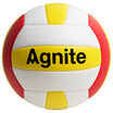 Agnite F1250 TPU soft volleyball machine stitching indoor&outdoor general teaching game training volleyball