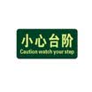 Teng Chi CT fire fluorescent safety export luminous light stickers evacuation signs direction signs luminous waterproof&wear-resistant warning stickers A01 straight safety exit