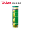 Wilson WRT137400 Training Tennis Child&Youth Ball STARTER PLAY BALLS