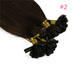 Iwona 100 Brazilian Virgin Remy Hair Straight Nail Tip 1gs 100g Human Hair