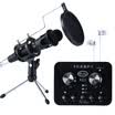 BOLE E300 Microphone&Sound Card Set Black