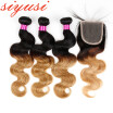 Ombre Brazilian Body Wave Human Hair Bundles With Lace Closure Free Part Remy Hair Weave 3 Bundles with Closure T1B27