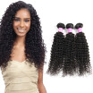 8A Malaysian Virgin Human Hair Kinky Curly Bundles Wholesale 100 Unprocessed Virgin Human Hair Extensions Bundles