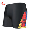 Mens Soft Animals Printing Swimwear Trunks Boxer Breathable Plus Size Beach Shorts