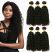 CLAROLAIR Hair 3pcsLot Yvonne Brazilian Kinky Curly Hair Unprocessed Virgin Brazilian Hair Kinky Curly Human Hair Bundles