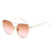 Unisex Cat-eye Sunglasses with Metal Frames