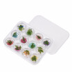 3D Real Dried Flower Decorations For UV Gel 12 Grids Nail Art Tips Manicure Nail Stickers 3D Nail Art Beauty