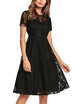 Sheer Lace Pleated O Neck Short Sleeve High Waist Swing Dress Homecoming Dress