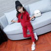 Korean version new childrens clothing winter baby girl sport Gold velvet hoodies coat pant sets kids clothes suits