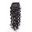 Brazilian Virgin Hair Lace Closure Water Wave Size 4x4 inch FreeMiddle3 Part Wet&Wavy Human Hair Closure Natural Black Color