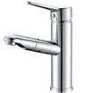 Fürth Full Copper Hot&Hot Water Kitchen Faucet Multipurpose Pulling Vegetable Basin Sink Faucet GBSCP-01