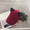 Women & Men Snapback Baseball Cap 6Colors Hat Hip Hop Knit Cat Ear Personal Hat